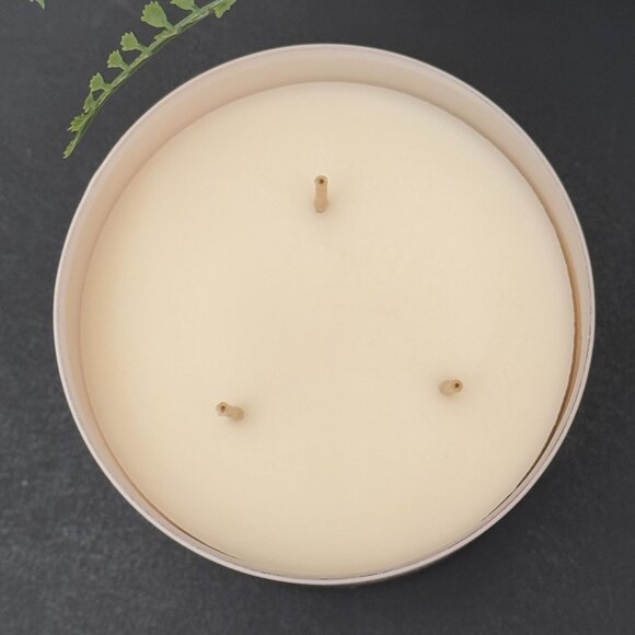 BBW Feliz Navidad Champurrado White Barn Bath & Body Works 3 Wick Candle - Picture 8 of 12